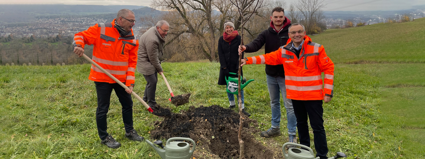 Algeco-Patenschaft für Streuobstwiesen